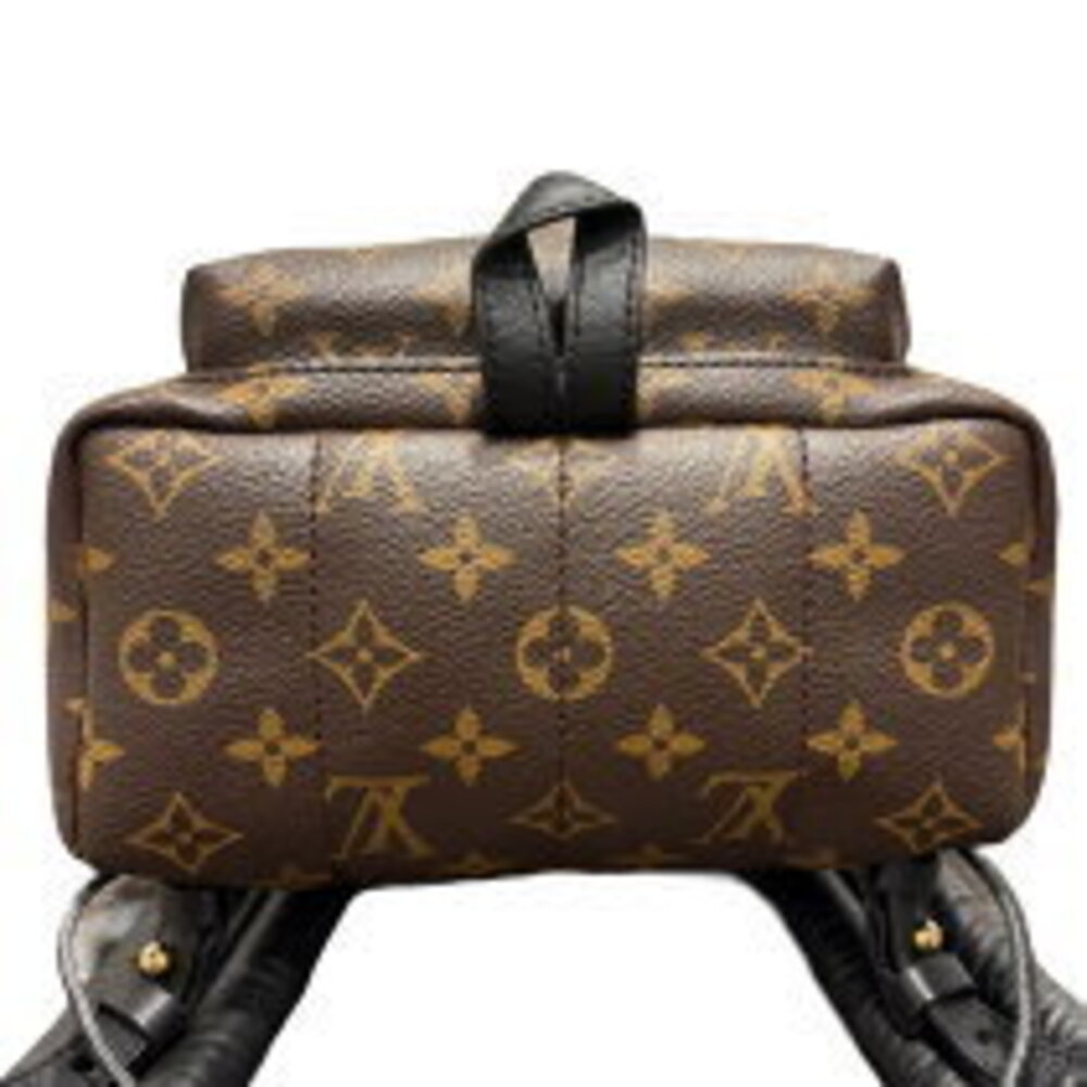 Louis Vuitton Palm Springs Backpack Monogram Daypack - Picture 5 of 9
